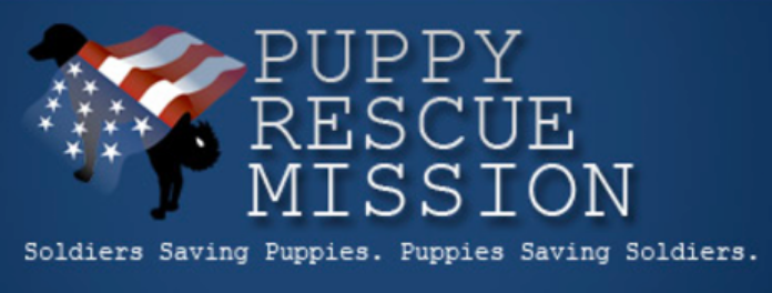 Puppy Rescue Mission